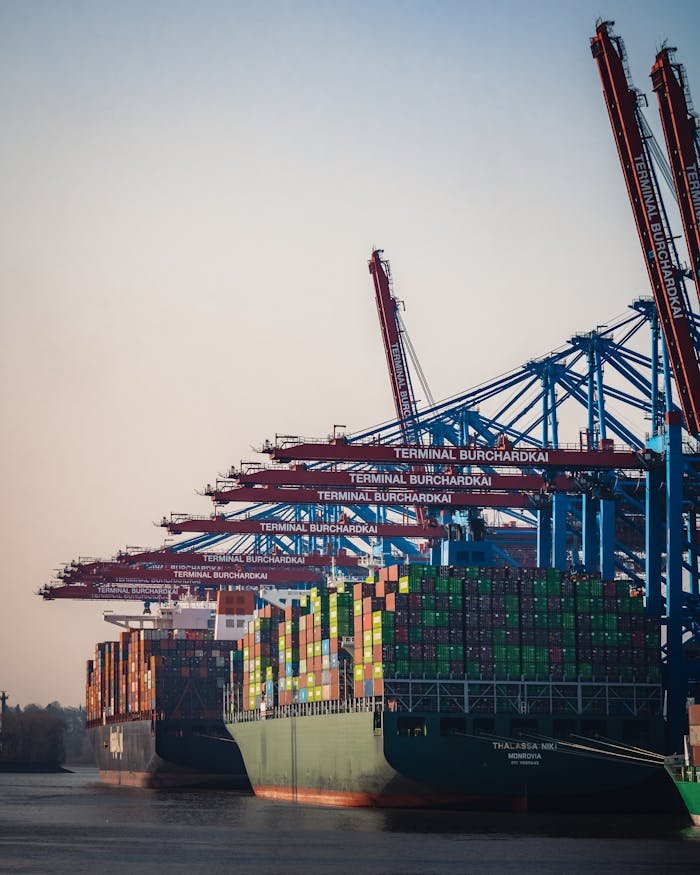 Cargo ships and cranes at Hamburg Burchardkai Terminal during day.